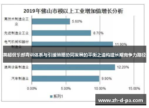 英超俱乐部青训体系与引援策略协同发展的平衡之道构建长期竞争力路径